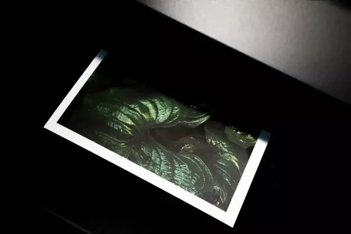 Contrata tu equipo según tus necesidades